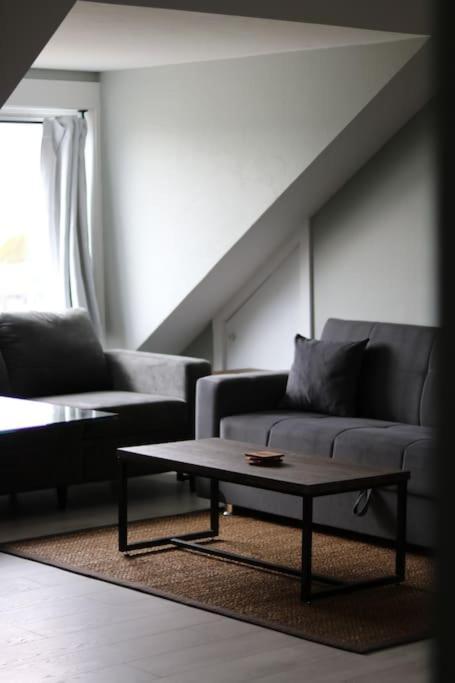 Unique Modern Luxury 2 Bedroom Apartment Rental Chapleau Dış mekan fotoğraf